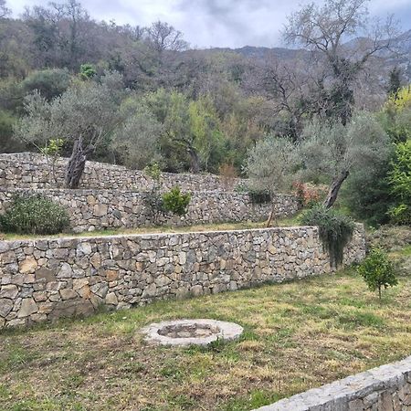Villa Belle Air Χέρτσεγκ Νόβι Εξωτερικό φωτογραφία